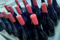 Curious Palate | What’s with Wax?